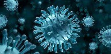 Koronavirusa yoluxanların artması onun mövcudluğuna inanmamaqdan irəli gəlir