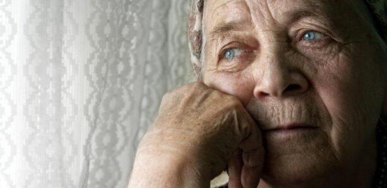 Sənin işin yaşamaqdır